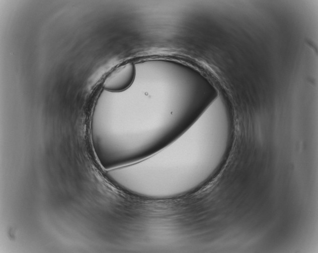 X0000103171406200808221118