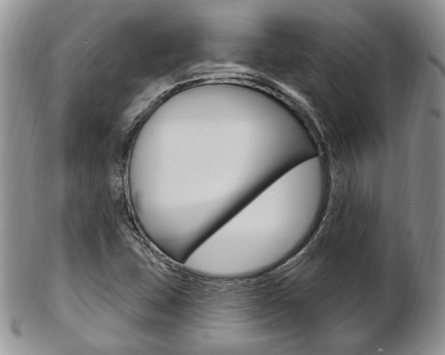 X0000103171407200808221118