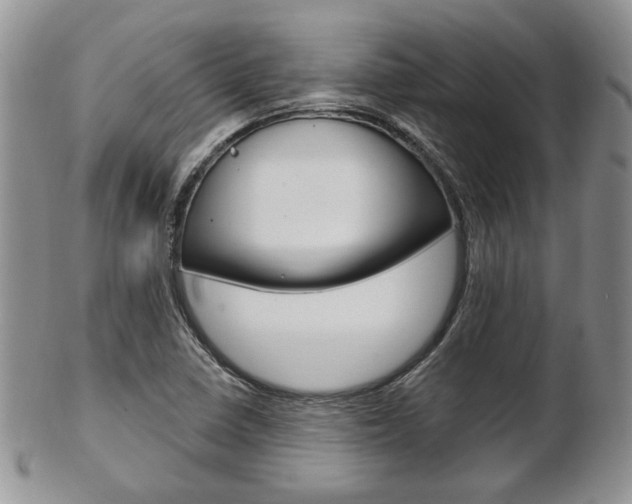X0000103171410200808221118