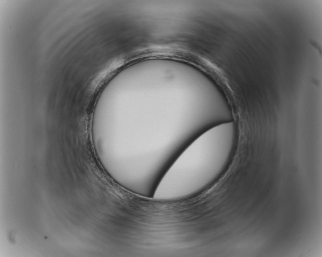 X0000103171411200808221118