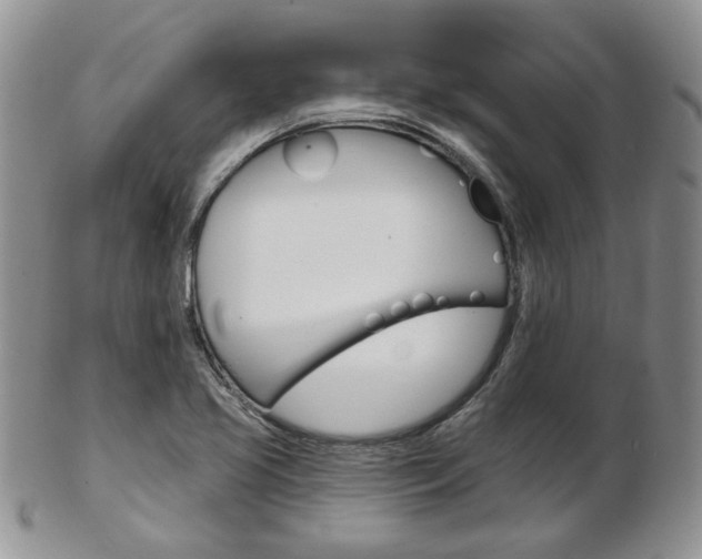 X0000103171413200808221118