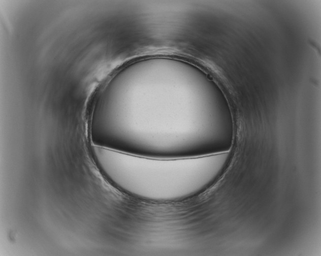 X0000103171414200808221118