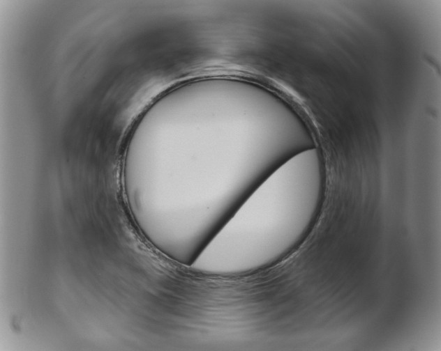 X0000103171415200808221118