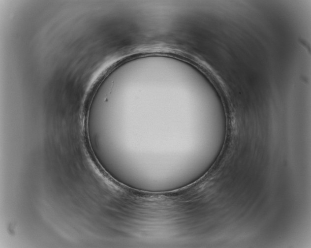 X0000103171416200808221118
