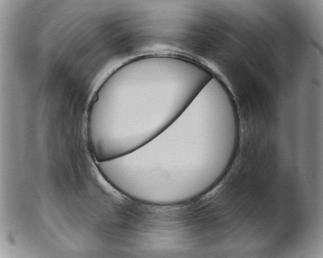 X0000103171421200808221118