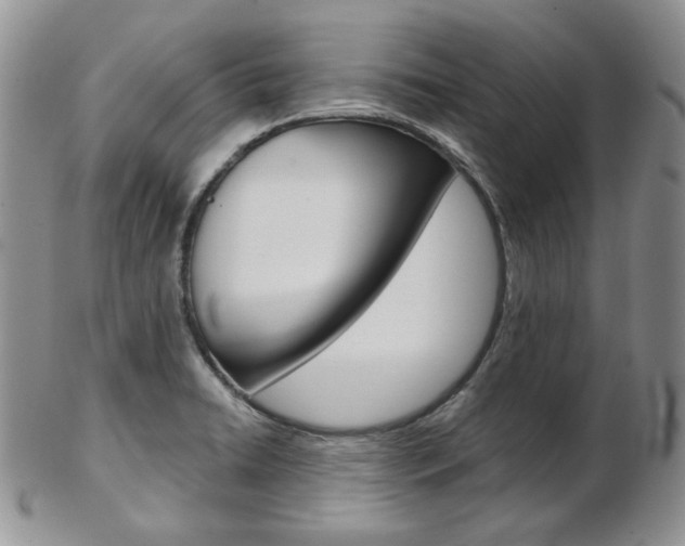 X0000103171422200808221118