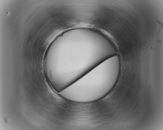 X0000103171423200808221118