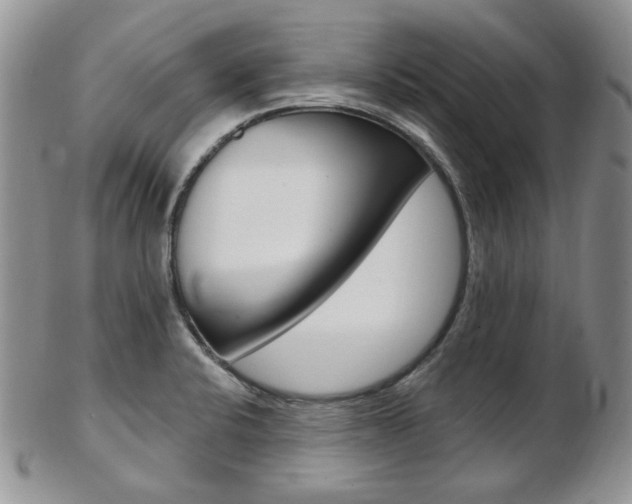 X0000103171424200808221118