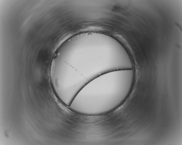 X0000103171425200808221118