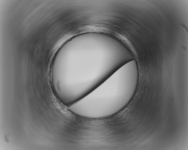 X0000103171427200808221118