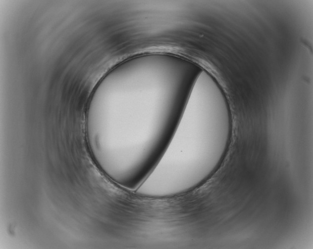 X0000103171428200808221118
