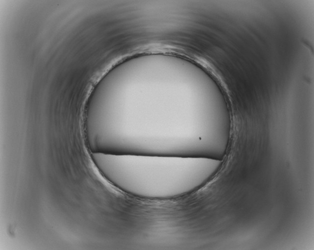 X0000103171429200808221118