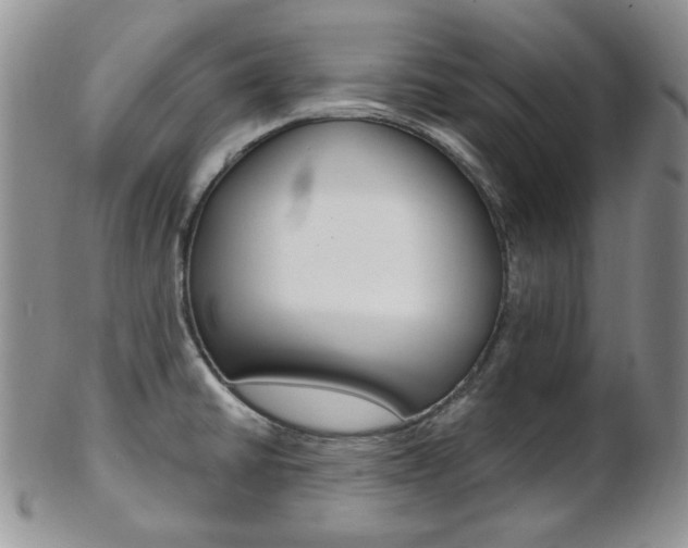 X0000103171430200808221118