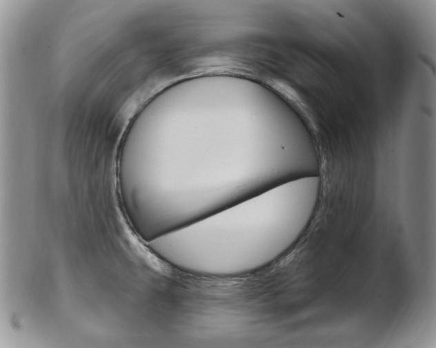 X0000103171431200808221118