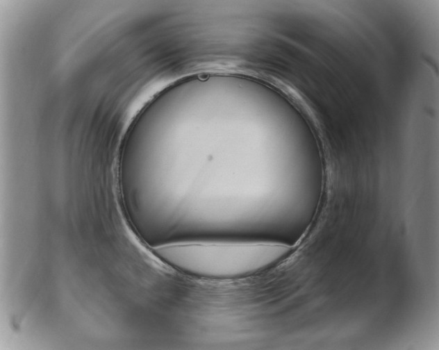 X0000103171432200808221118