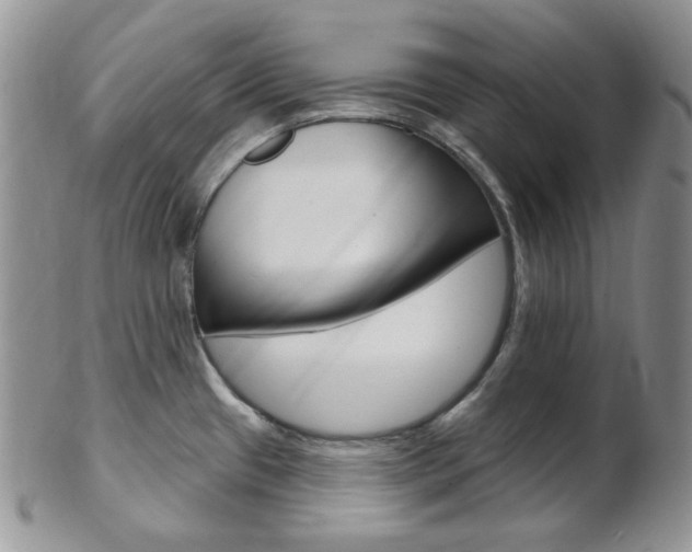 X0000103171433200808221118
