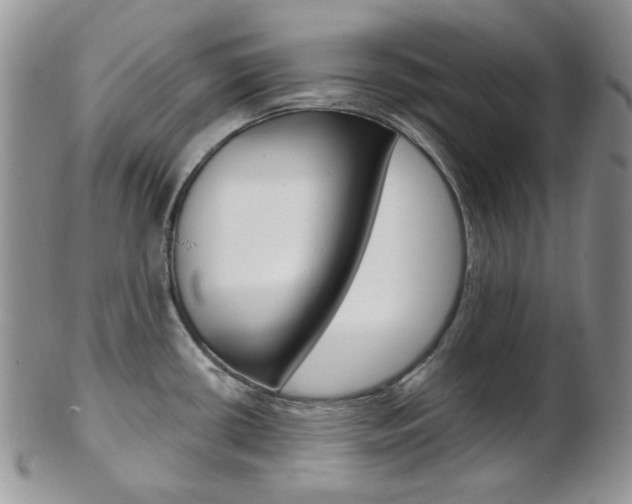 X0000103171434200808221118