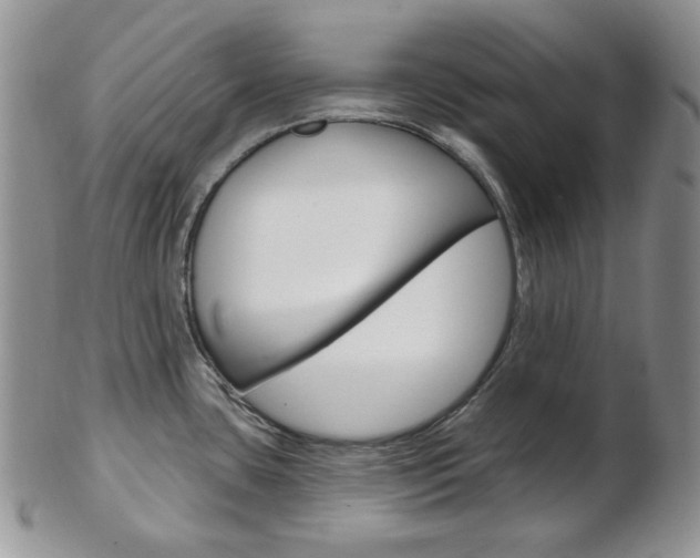 X0000103171435200808221118