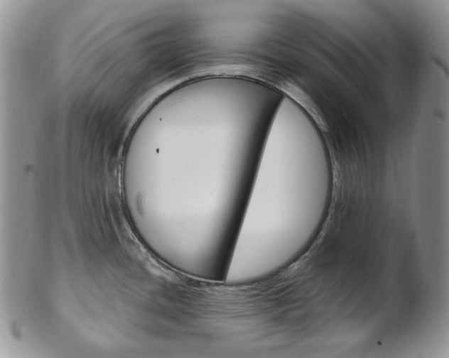 X0000103171436200808221118