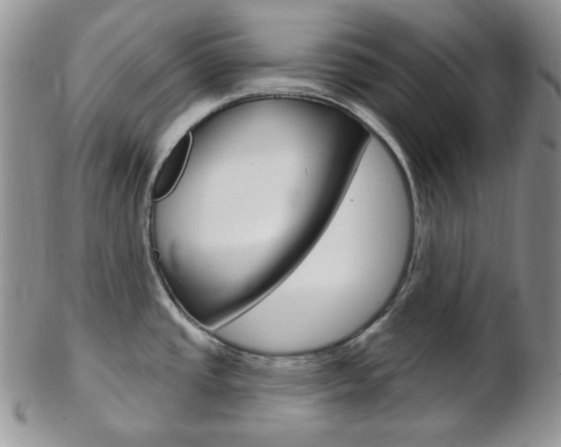 X0000103171437200808221118