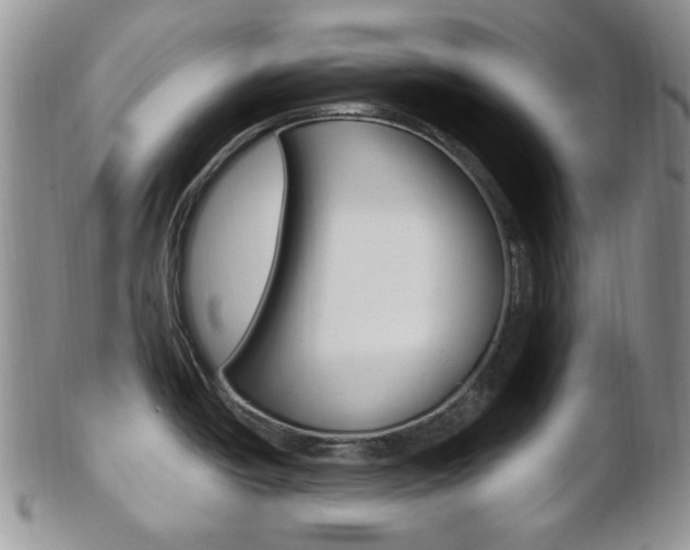 X0000103171438200808221118