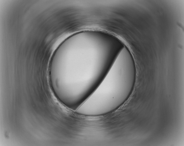 X0000103171440200808221118