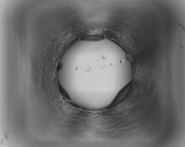 X0000103171441200808221118