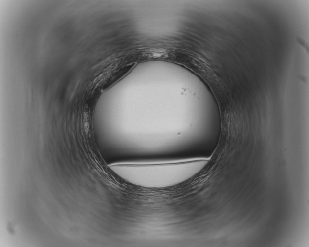 X0000103171442200808221118