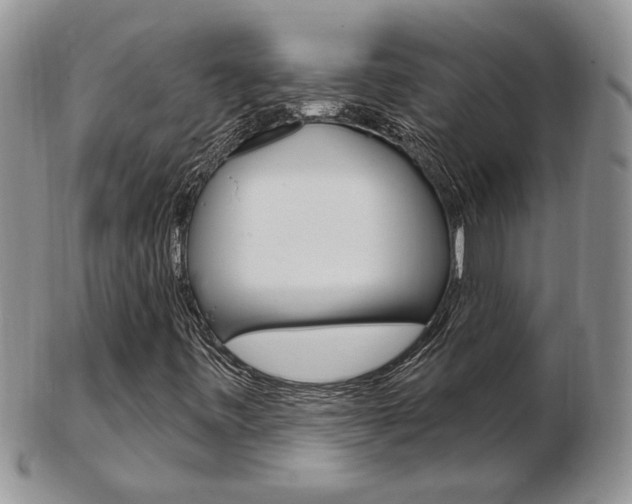 X0000103171443200808221118