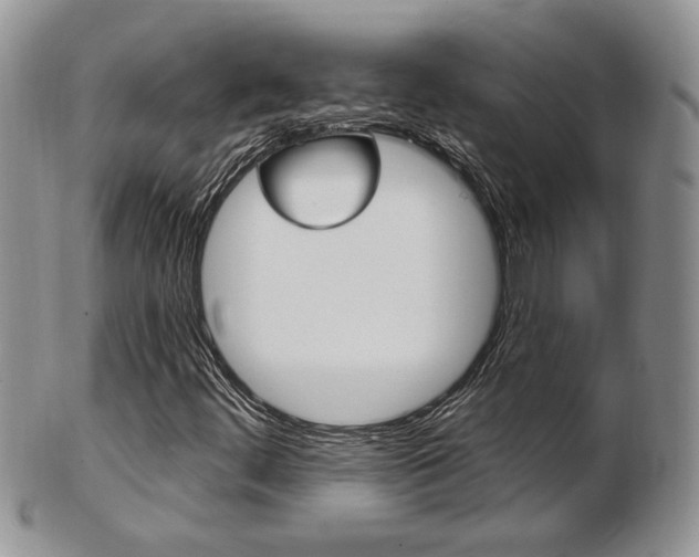 X0000103171444200808221118