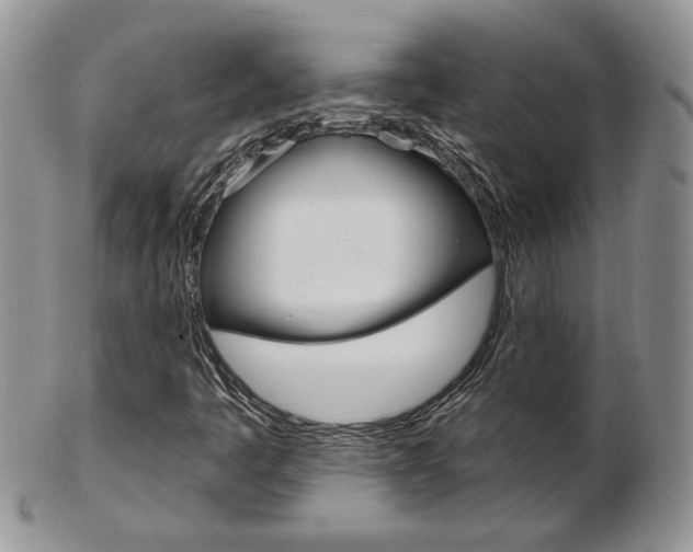 X0000103171445200808221118