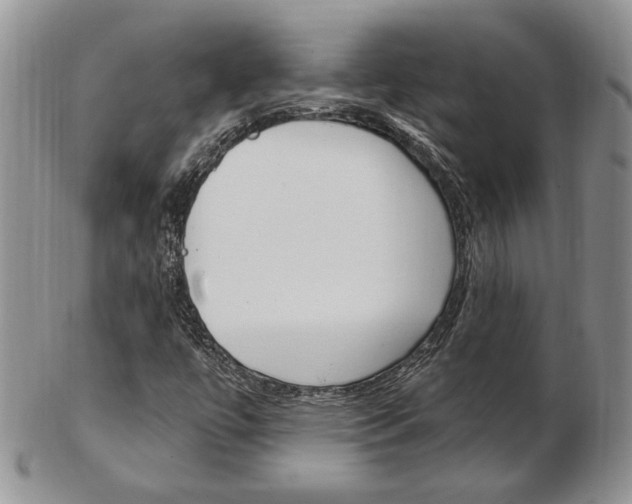 X0000103171447200808221118