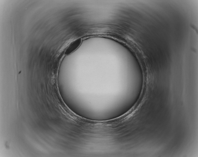X0000103171449200808221118