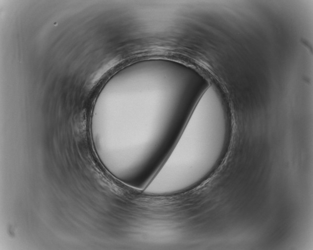 X0000103171450200808221118