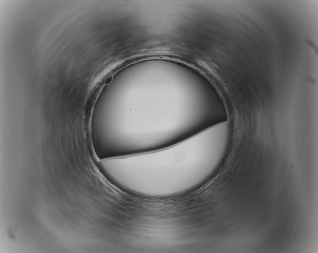 X0000103171452200808221118