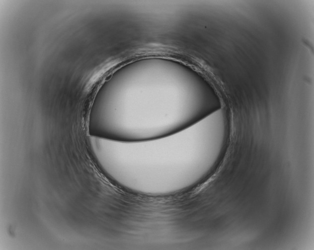 X0000103171453200808221118