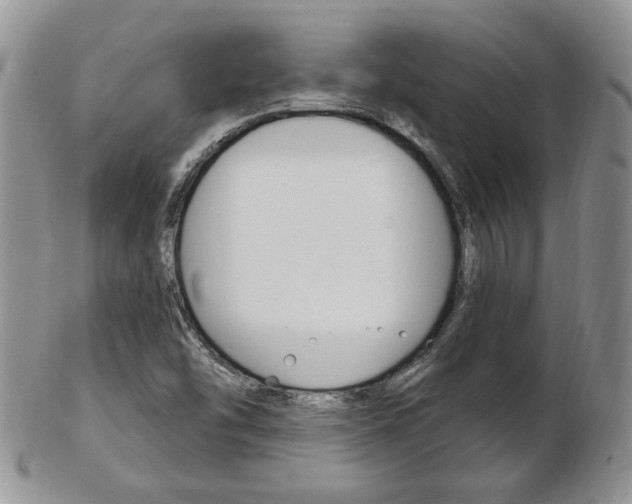 X0000103171454200808221118