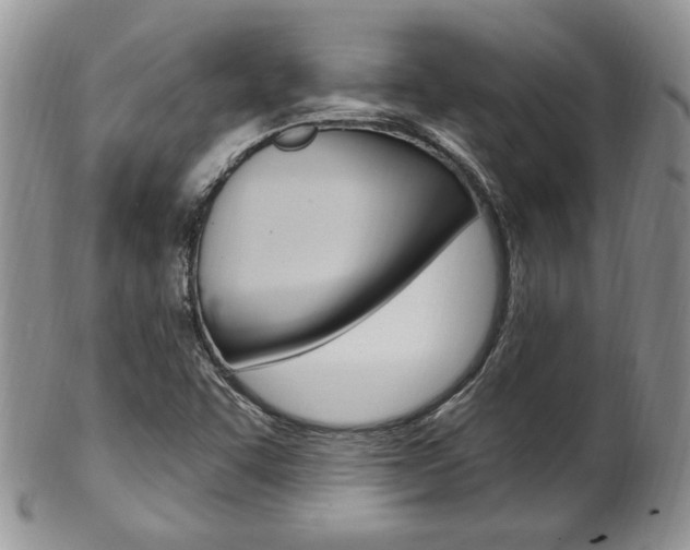 X0000103171455200808221118