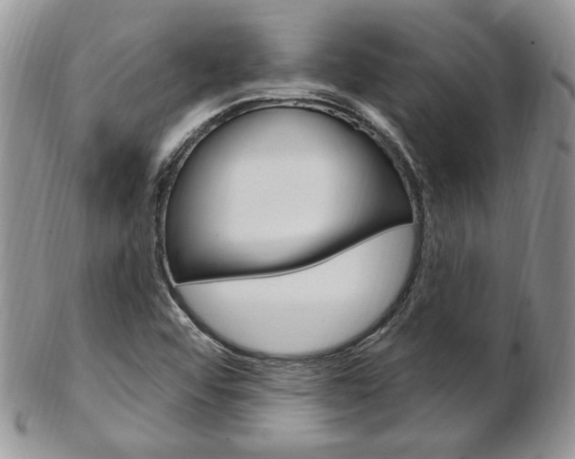 X0000103171456200808221118