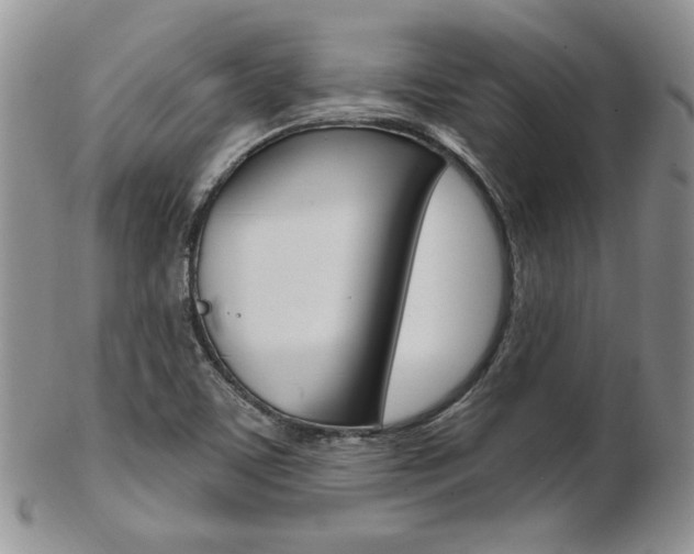 X0000103171459200808221117
