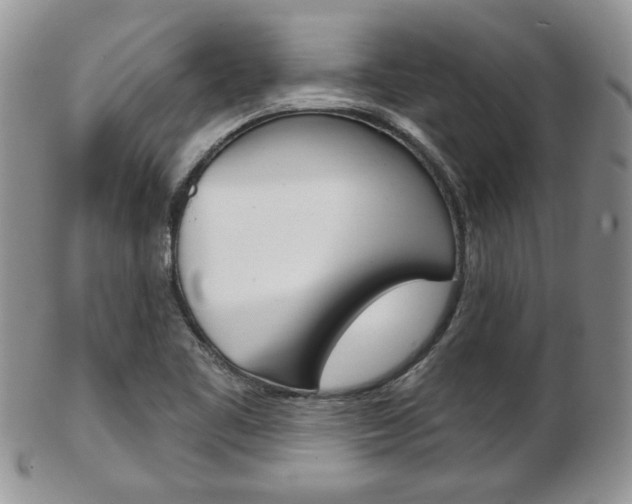 X0000103171461200808221117