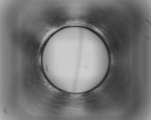 X0000103171462200808221117