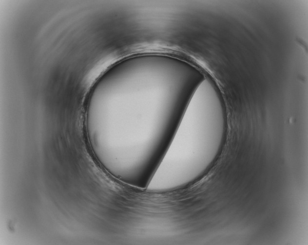 X0000103171463200808221117