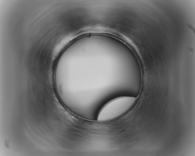 X0000103171464200808221117