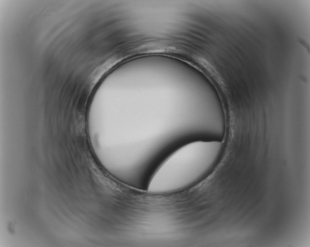 X0000103171465200808221117