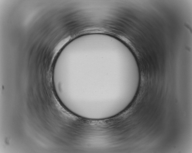 X0000103171466200808221117