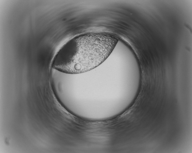 X0000103171467200808221117
