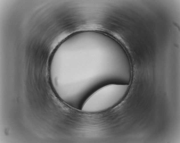 X0000103171469200808221117