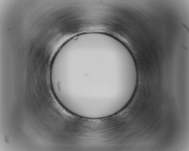 X0000103171470200808221117