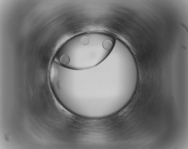 X0000103171471200808221117
